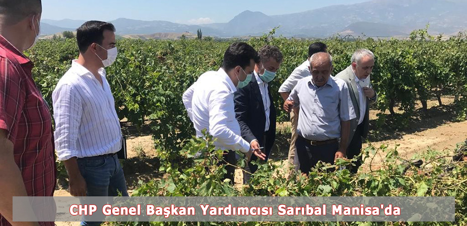 CHP Genel Bakan Yardmcs Sarbal Manisa'da